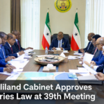 Somaliland Cabinet Approves Fisheries Law at 39th Meeting