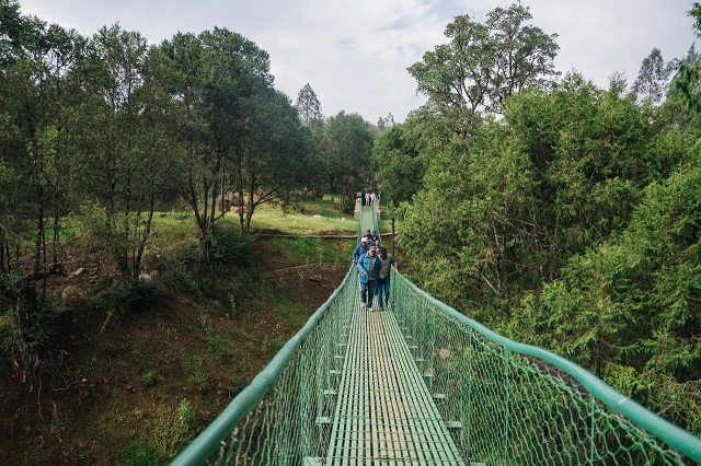 Ethiopian Prime Minister Abiy Ahmed launches the Entoto Kebena riverside development project in Addis Ababa