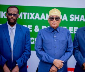 Somaliland President Abdirahman Mohamed Abdullahi Irro