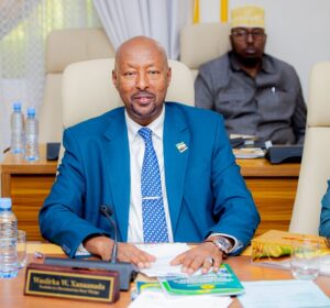 President Irro Chairs Cabinet Meeting Focused on Security, Livestock Reforms and Government Delivery. 12 Deputy Minister of Livestock and Rural Development Ali Ahmed Abdi Ali Cantar