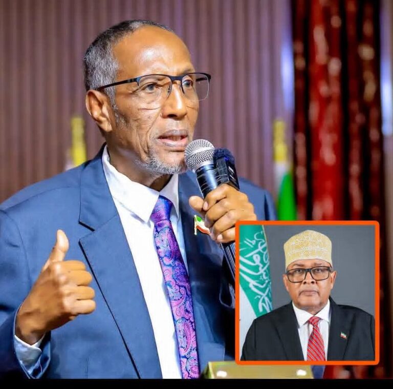 Muse Bihi Responds to President Irro Over Somaliland Recognition and Secret Foreign Trips 9 Former Somaliland President Muse Bihi Abdi