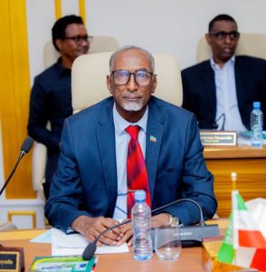 President Irro Chairs Cabinet Meeting Focused on Security, Livestock Reforms and Government Delivery. 10 Minister of Interior and National Security Abdalle Mohamed Arab