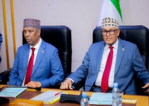 President Irro Chairs Cabinet Meeting Focused on Security, Livestock Reforms and Government Delivery. 13 President Abdirahman Mohamed Abdullahi Irro and attended by Vice President Mohamed Ali Aw Abdi