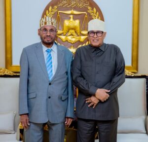 Somaliland President Abdiraxmaan Mohamed Abdillahi Irro received the newly elected Guurti Chairman Muse Haji Abdi Duale