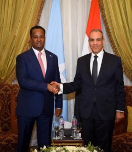 Egypt Intensifies Horn of Africa Diplomacy as U.S., Eritrea and Somalia Hold High-Level Cairo Talks on Red Sea Security. 11 749355482 1426428949509880 2847132089475673560 n