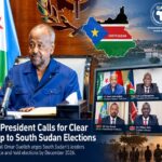 Djibouti President Calls for Clear Roadmap to South Sudan Elections