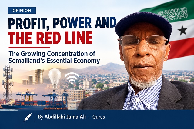PROFIT POWER AND THE RED LINE The Growing Concentration of Somalilands Essential Economy Author Abdillahi Jama Ali Qurus1