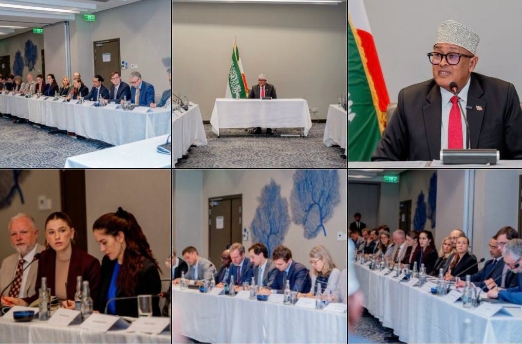 President Abdirahman Mohamed Abdillahi Irro used his address to diplomats ambassadors and international development partners