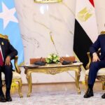 Somali President Hassan Sheikh Mohamud meets Egypts El Sisi in Alamein to discuss bilateral ties Somalias stability and Horn of Africa security