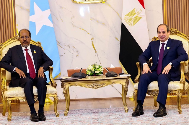 Somali President Hassan Sheikh Mohamud meets Egypts El Sisi in Alamein to discuss bilateral ties Somalias stability and Horn of Africa security