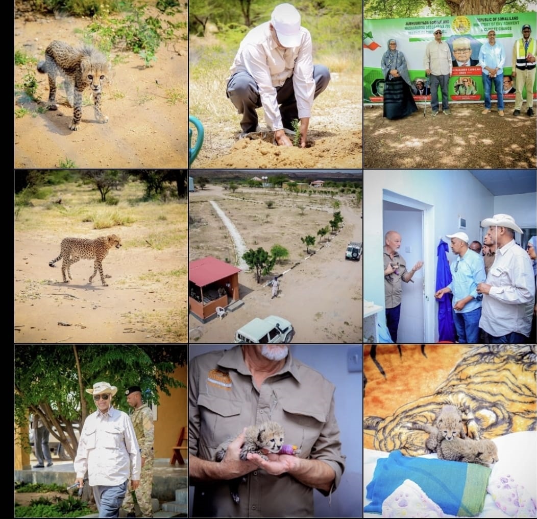 Somaliland Environment Minister Inspects Geed Deeble Nature Reserve Conservation and Development Projects