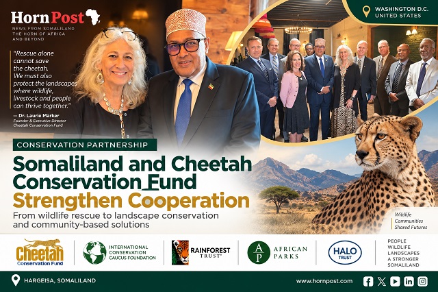 Somaliland President Abdirahman Mohamed Abdillahi and representatives of Rainforest Trust African Parks and HALO Trust