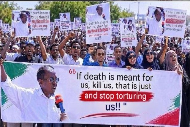 somaliland health 1