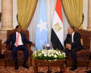Egypt Intensifies Horn of Africa Diplomacy as U.S., Eritrea and Somalia Hold High-Level Cairo Talks on Red Sea Security. 12 talks with Somalia Egypt